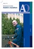 Klik om te vergroten